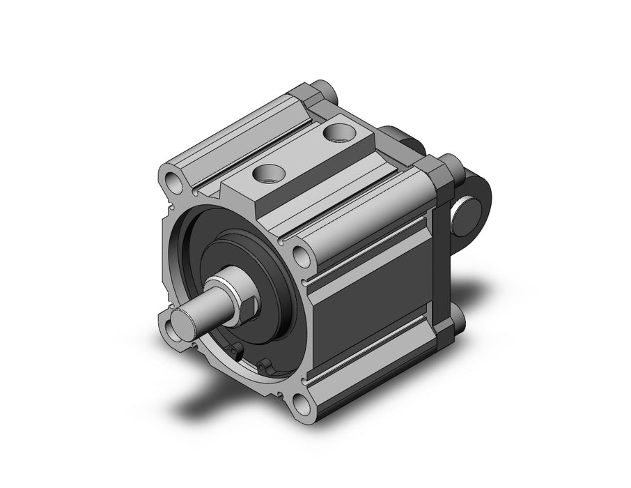 NCDQ2D100-25DMZ Compact Cylinder, NCQ2-Z