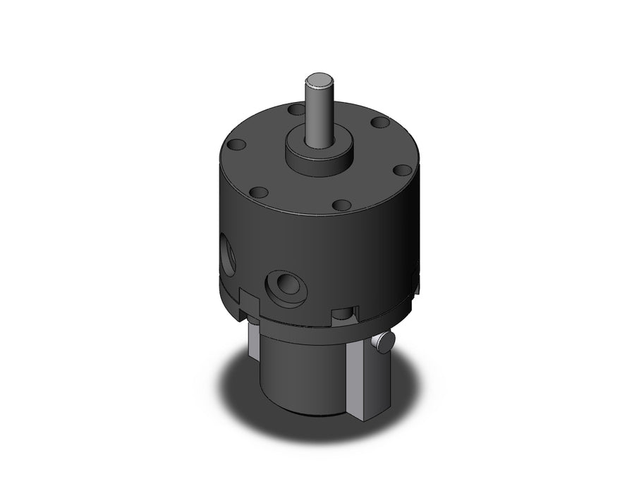 NCDRB1BW20-270S Actuator, Rotary, Vane Type