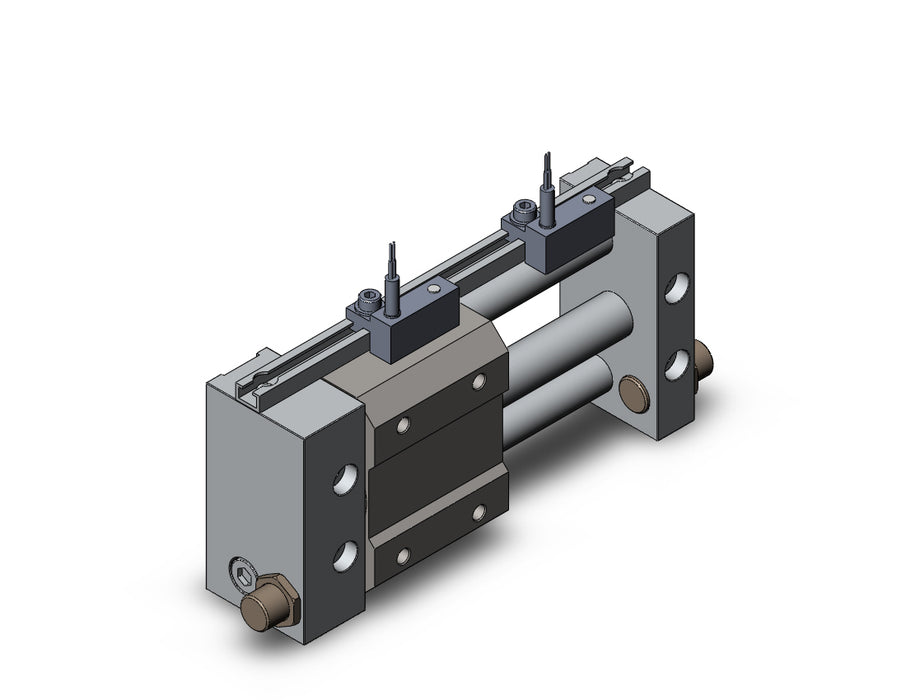 NCDY2S10H-0200-A73 NCY2S, Rodless Cylinder