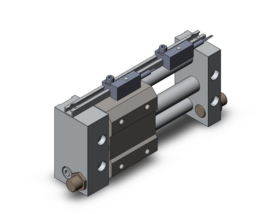 NCDY2S10H-0200-F79L NCY2S, Rodless Cylinder