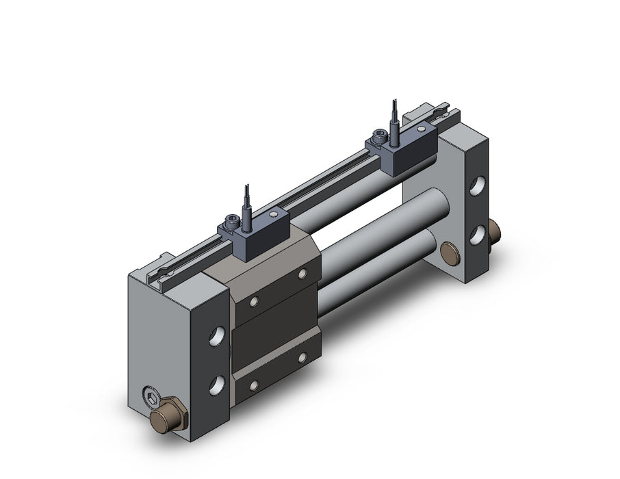 NCDY2S10H-0300-A73 NCY2S, Rodless Cylinder