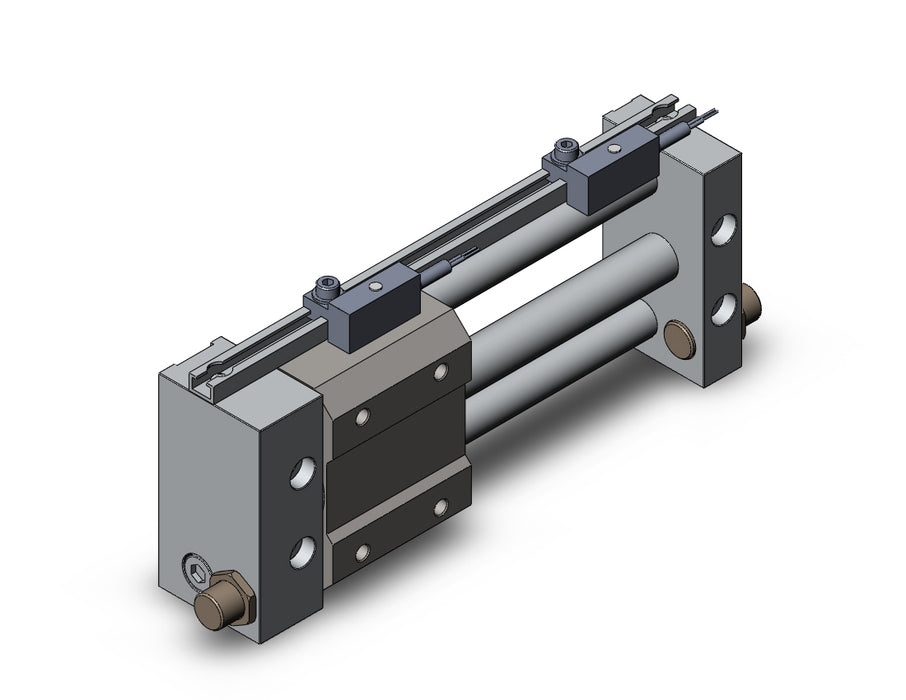 NCDY2S10H-0300-F79 NCY2S, Rodless Cylinder