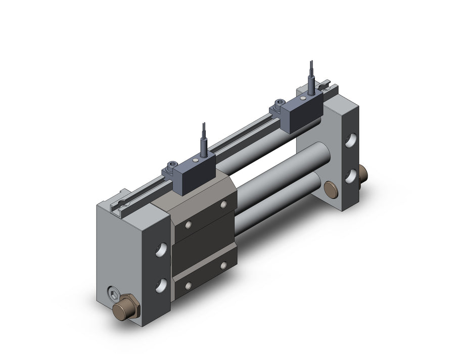 NCDY2S10H-0300-J79CL NCY2S, Rodless Cylinder