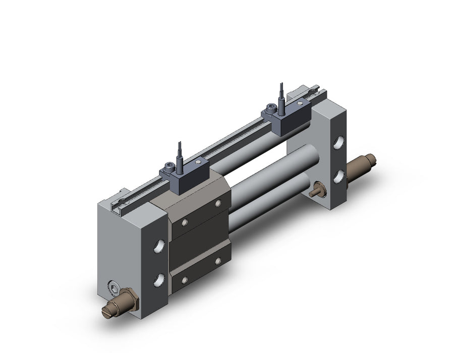 NCDY2S10H-0300B-A73L NCY2S, Rodless Cylinder