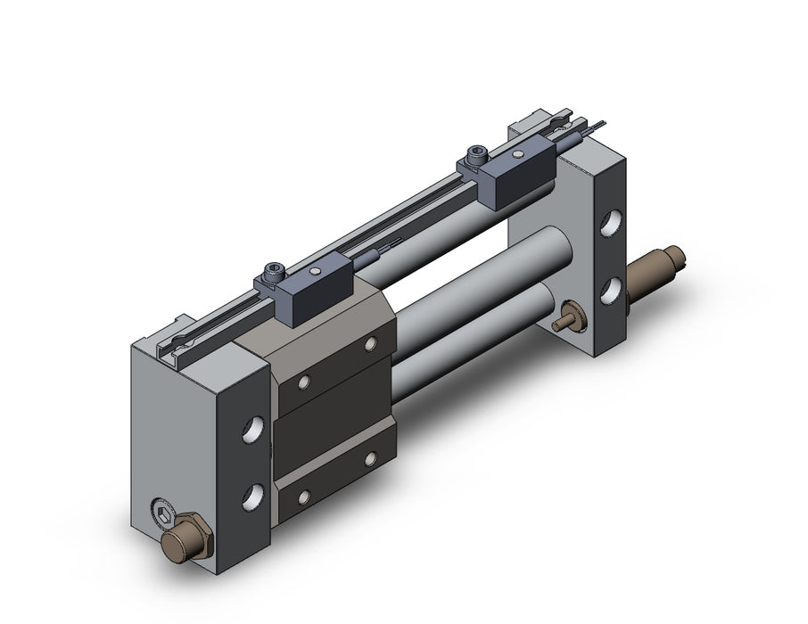NCDY2S10H-0300BCS-F79 NCY2S, Rodless Cylinder