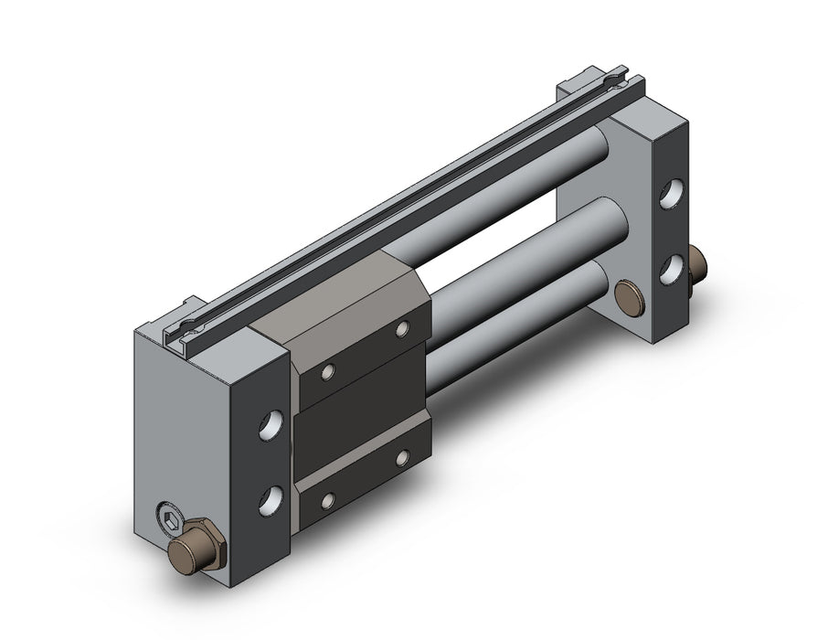NCDY2S10H-0300 NCY2S, Rodless Cylinder