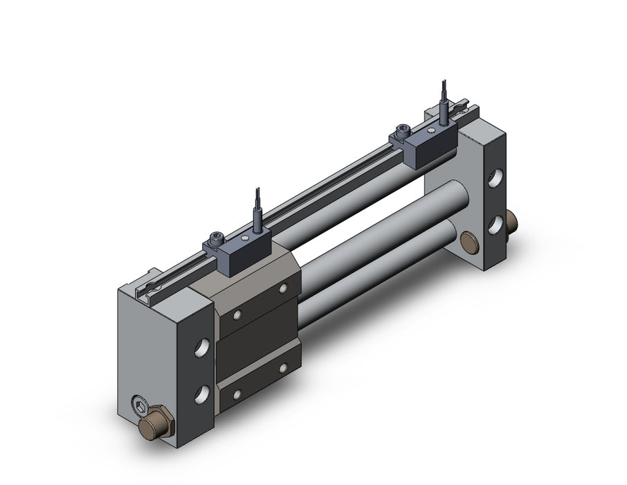 NCDY2S10H-0400-F7PVL NCY2S, Rodless Cylinder