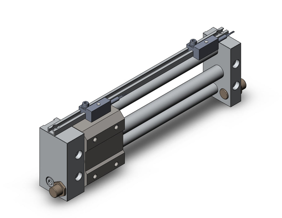 NCDY2S10H-0500-F79Z NCY2S, Rodless Cylinder