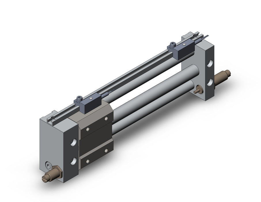 NCDY2S10H-0500B-F79L NCY2S, Rodless Cylinder