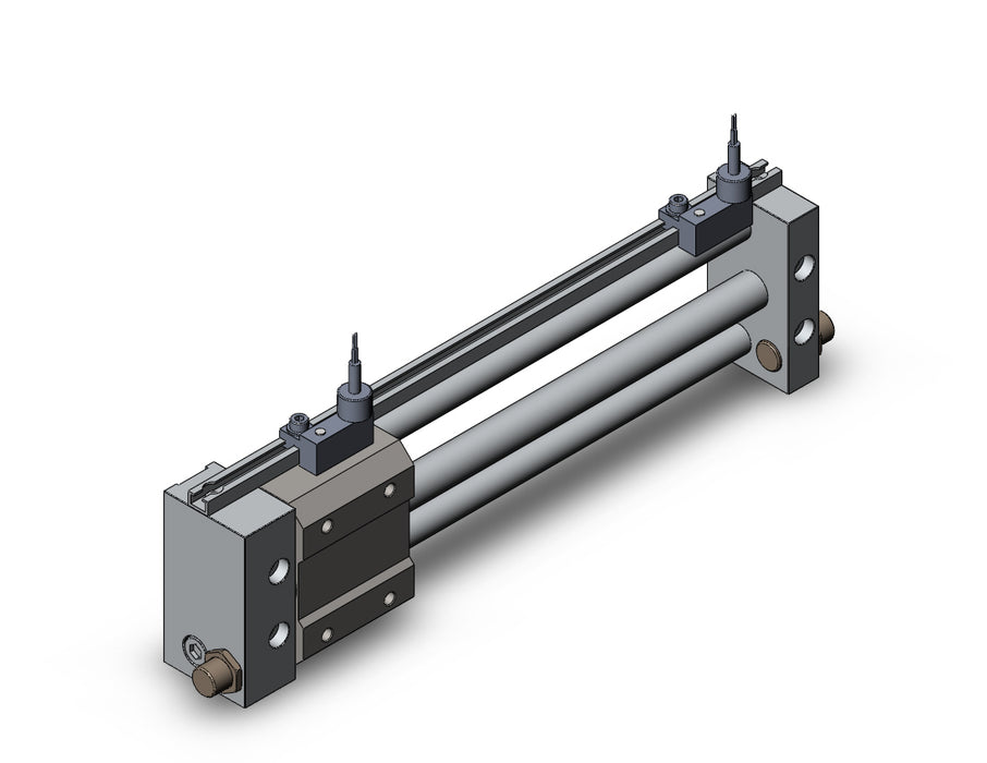 NCDY2S10H-0600-A73C NCY2S, Rodless Cylinder