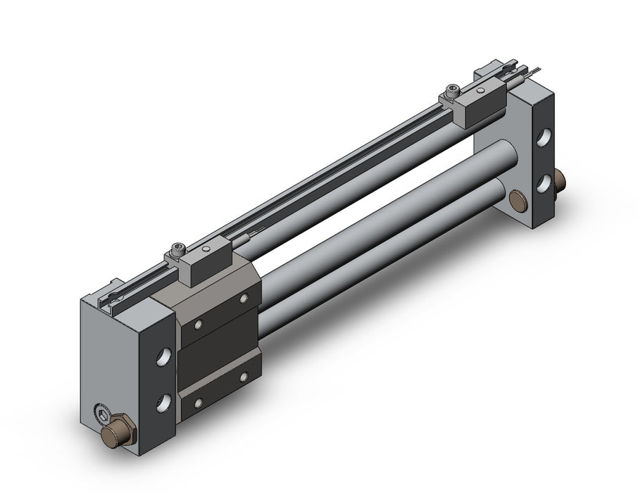 NCDY2S10H-0600-F7P NCY2S, Rodless Cylinder