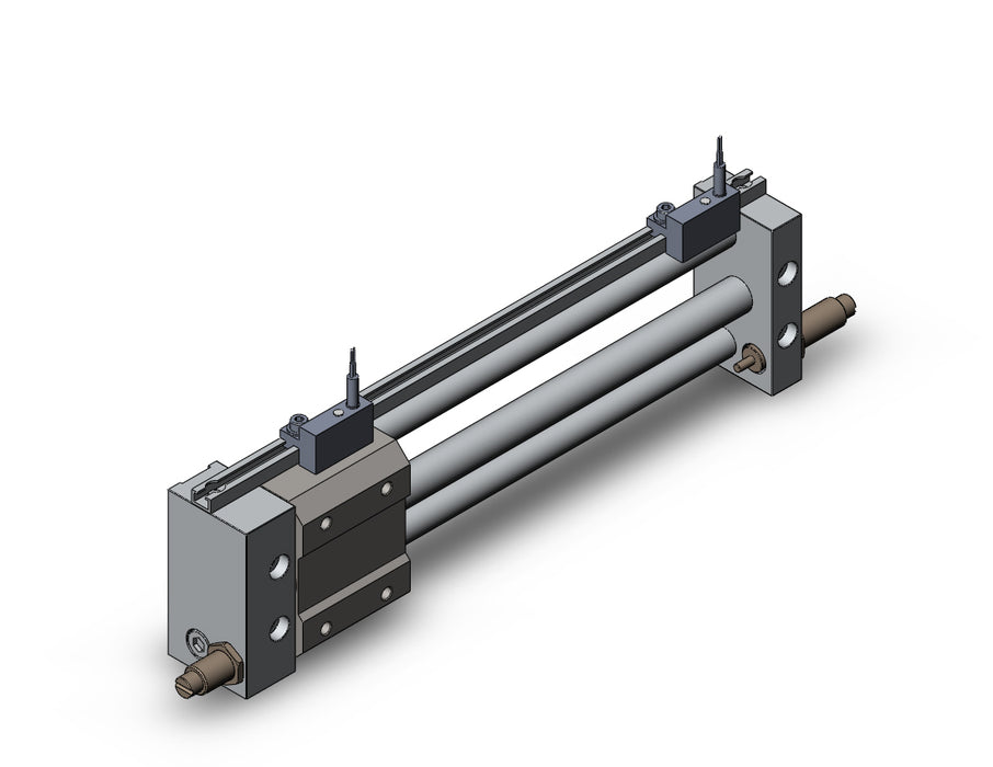 NCDY2S10H-0600B-J79CL NCY2S, Rodless Cylinder