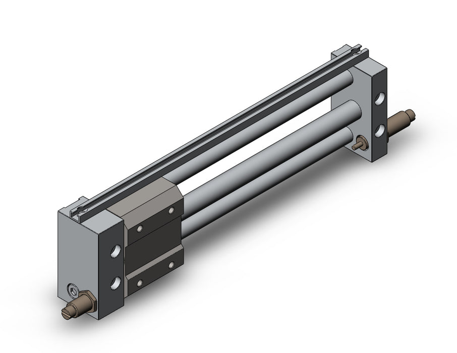 NCDY2S10H-0600B NCY2S, Rodless Cylinder