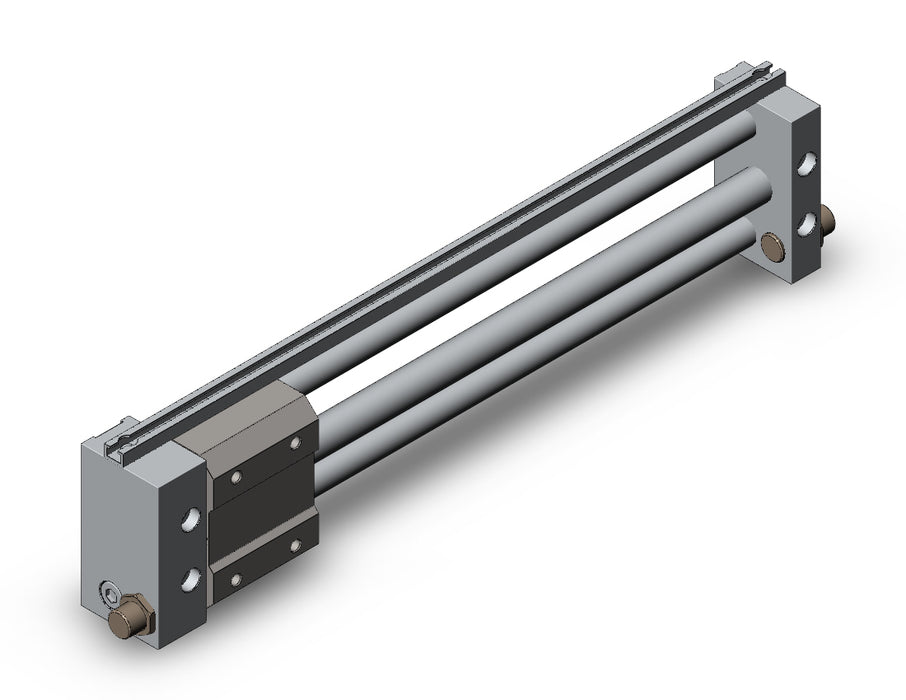 NCDY2S10H-0800 NCY2S, Rodless Cylinder