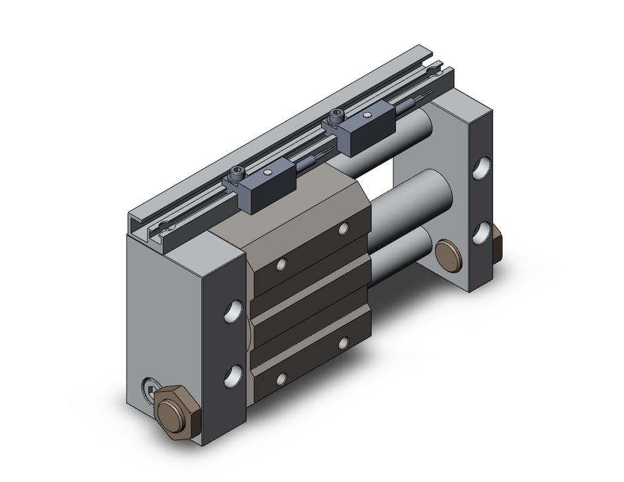 NCDY2S15H-0200-F79L NCY2S, Rodless Cylinder