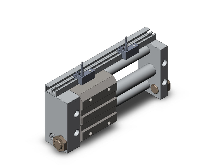 NCDY2S15H-0300-A733 NCY2S, Rodless Cylinder