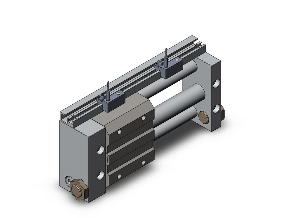 NCDY2S15H-0300-A73 NCY2S, Rodless Cylinder