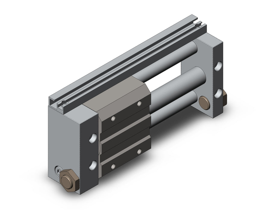 NCDY2S15H-0300 NCY2S, Rodless Cylinder