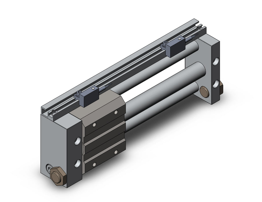 NCDY2S15H-0500-A76HL NCY2S, Rodless Cylinder