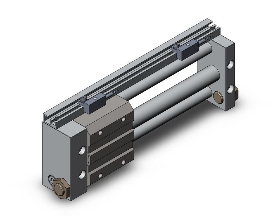 NCDY2S15H-0500-F79 NCY2S, Rodless Cylinder