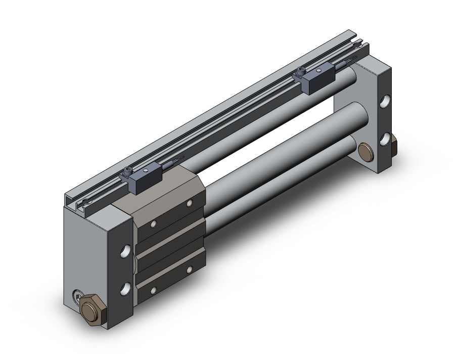 NCDY2S15H-0600-F79 NCY2S, Rodless Cylinder