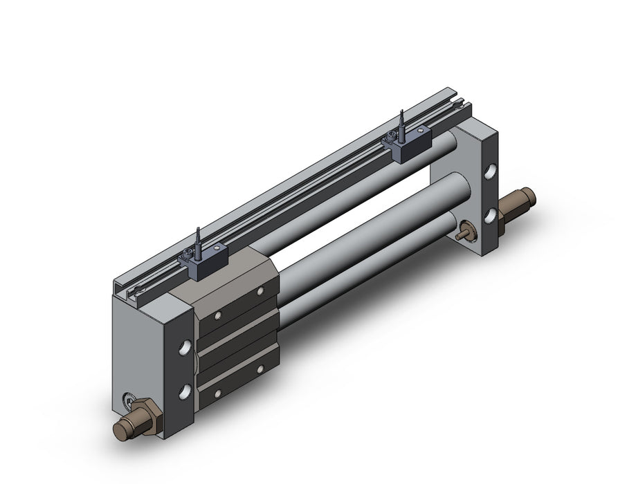 NCDY2S15H-0600B-A73 NCY2S, Rodless Cylinder