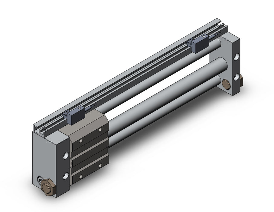 NCDY2S15H-0800-A73HL NCY2S, Rodless Cylinder