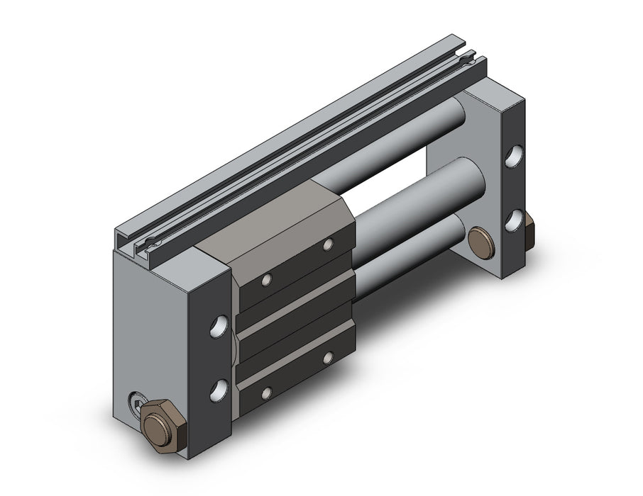 NCDY2S15L-0300 NCY2S, Rodless Cylinder