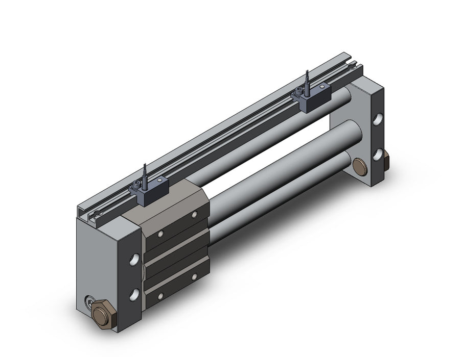 NCDY2S15L-0600-A73L NCY2S, Rodless Cylinder