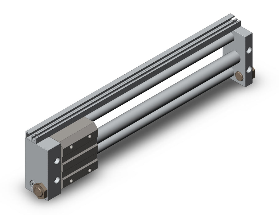 NCDY2S15L-1000 NCY2S, Rodless Cylinder
