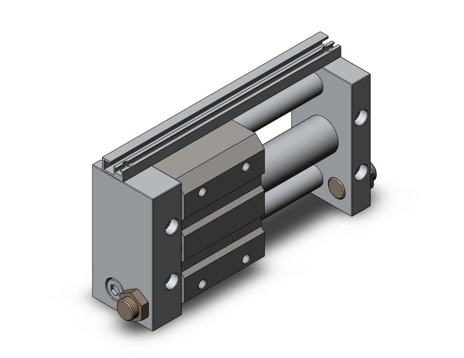 NCDY2S25H-0300 NCY2S, Rodless Cylinder