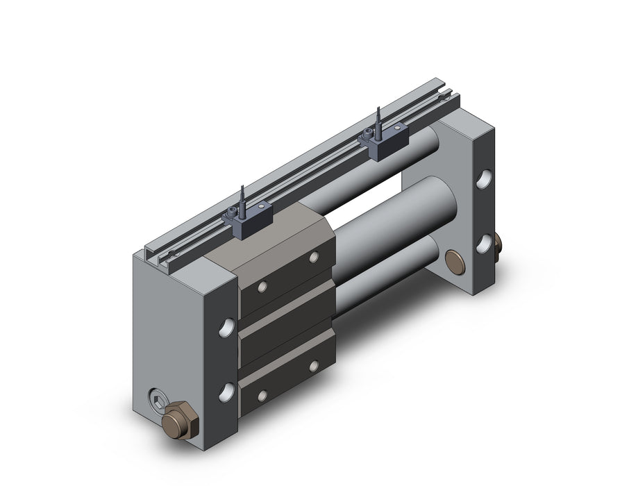 NCDY2S25H-0400-A80 NCY2S, Rodless Cylinder