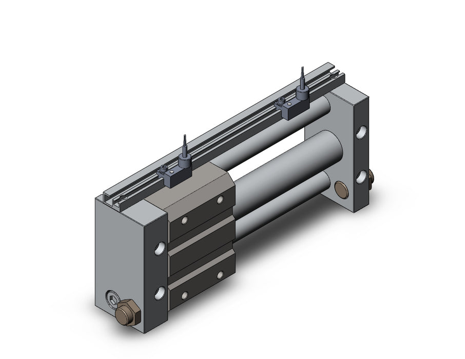 NCDY2S25H-0500-A73C NCY2S, Rodless Cylinder