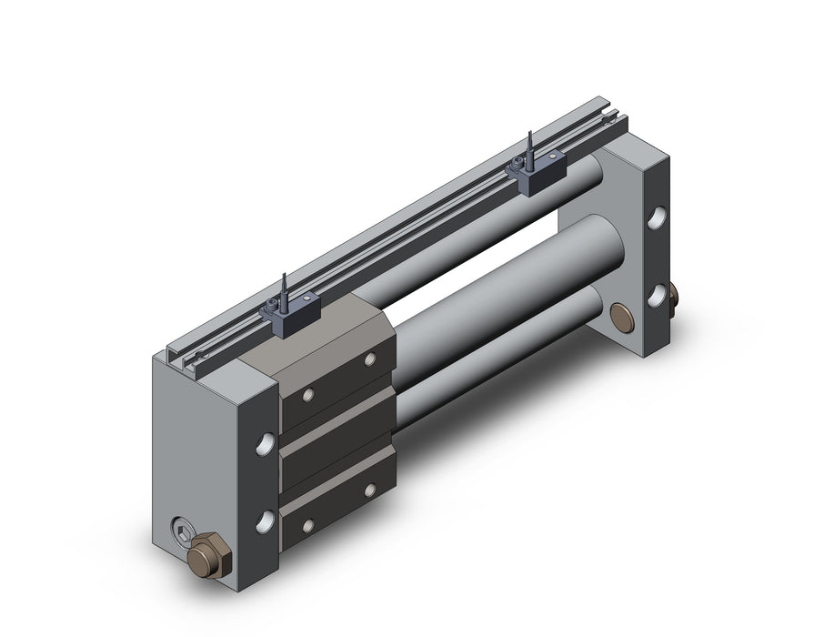 NCDY2S25H-0600-A73 NCY2S, Rodless Cylinder