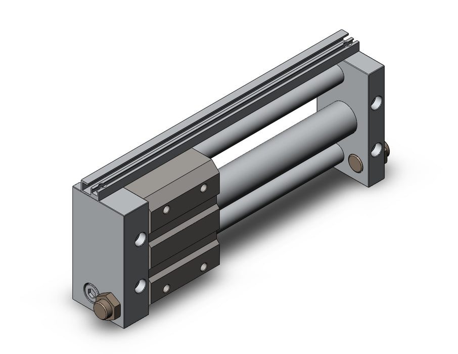 NCDY2S25H-0600 NCY2S, Rodless Cylinder