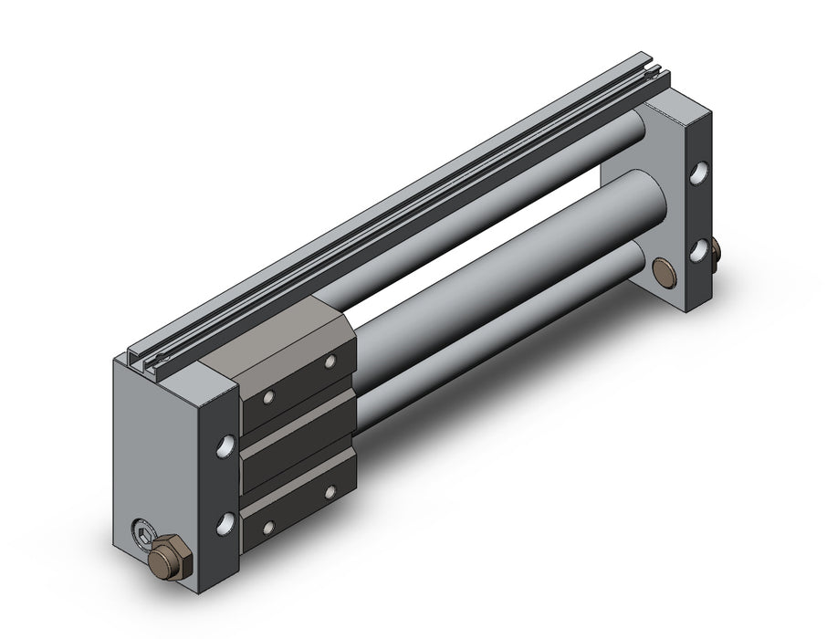 NCDY2S25H-0800 NCY2S, Rodless Cylinder