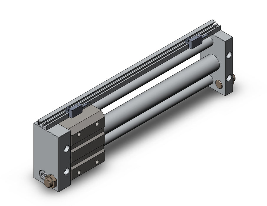 NCDY2S25H-1000-A73HZ NCY2S, Rodless Cylinder