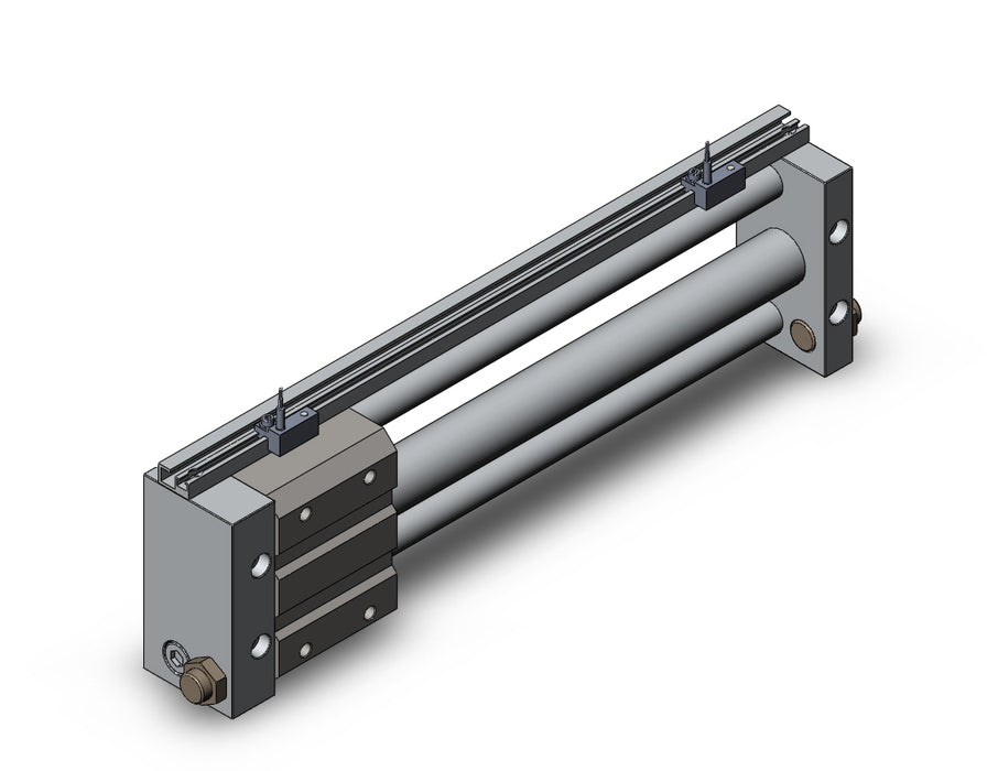 NCDY2S25H-1000-A73 NCY2S, Rodless Cylinder