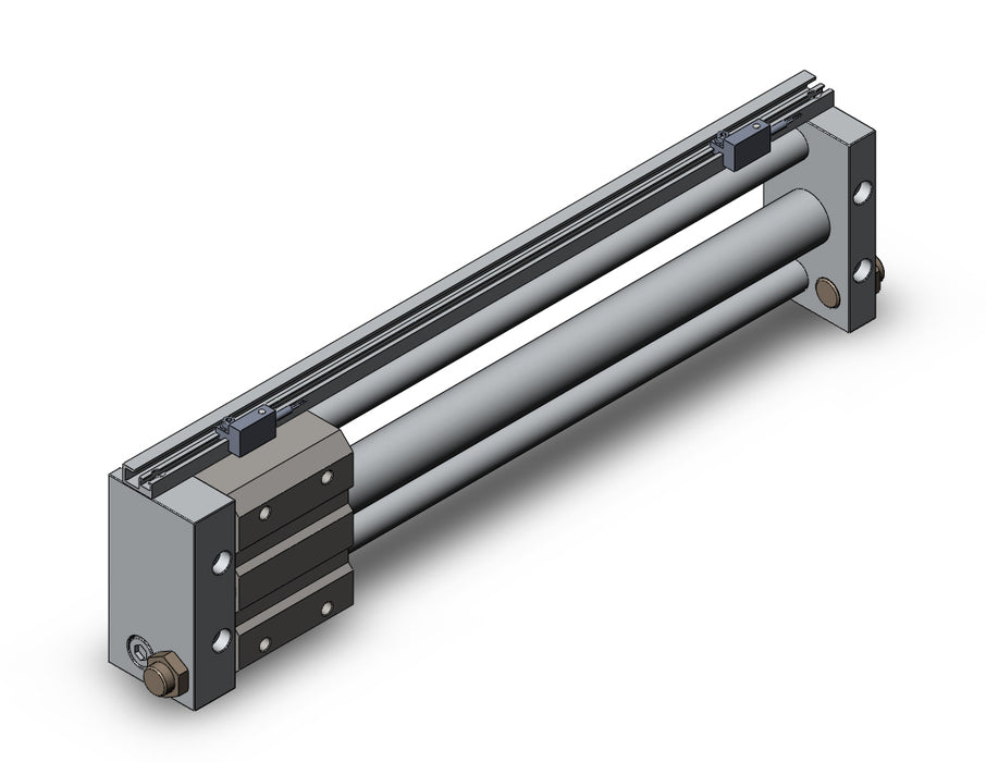 NCDY2S25H-1200-A73HZ NCY2S, Rodless Cylinder