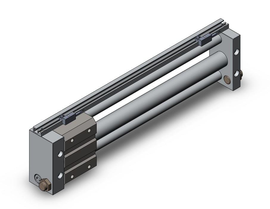 NCDY2S25H-1200-J79W NCY2S, Rodless Cylinder