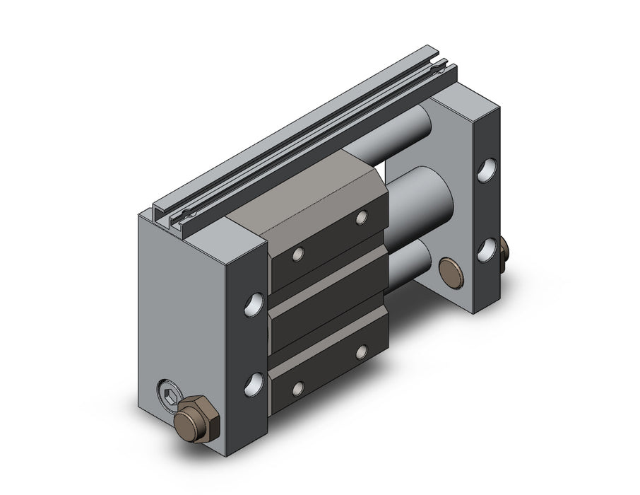 NCDY2S25L-0200 NCY2S, Rodless Cylinder