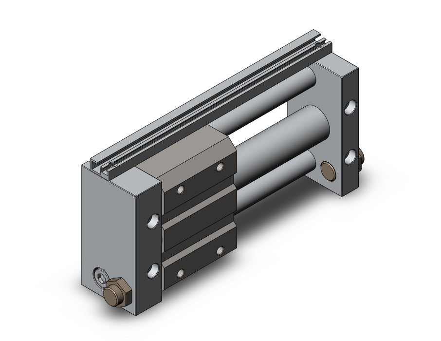 NCDY2S25L-0400 NCY2S, Rodless Cylinder