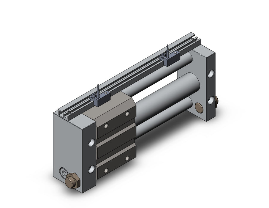 NCDY2S25L-0500-A73L NCY2S, Rodless Cylinder