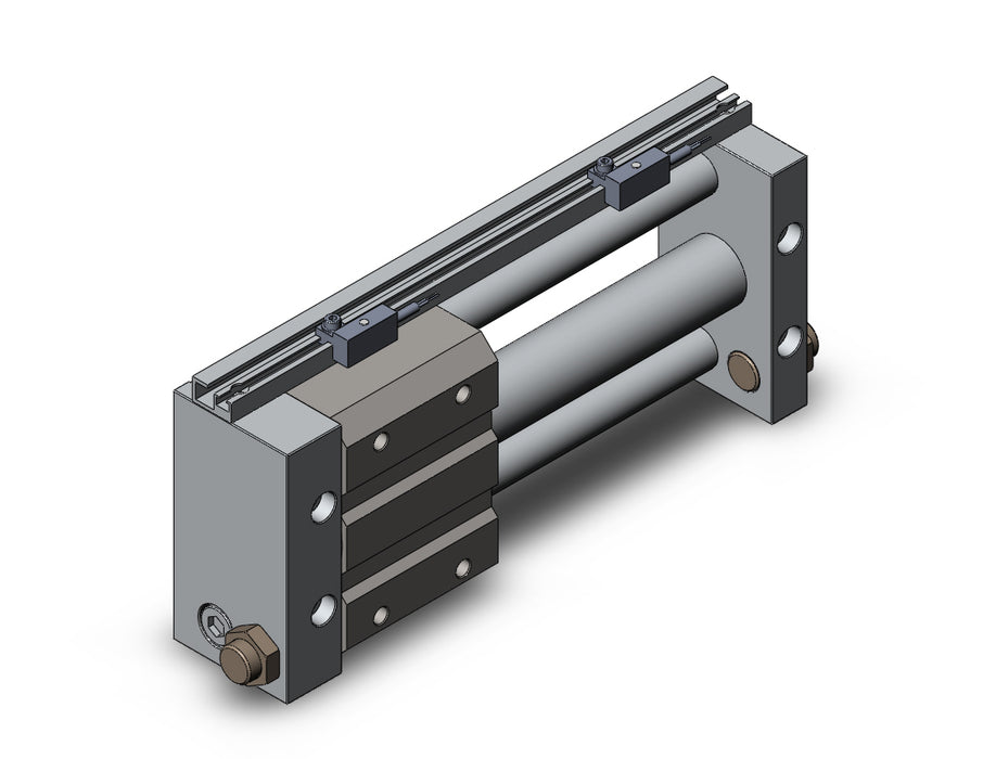 NCDY2S25L-0500-F7PW NCY2S, Rodless Cylinder