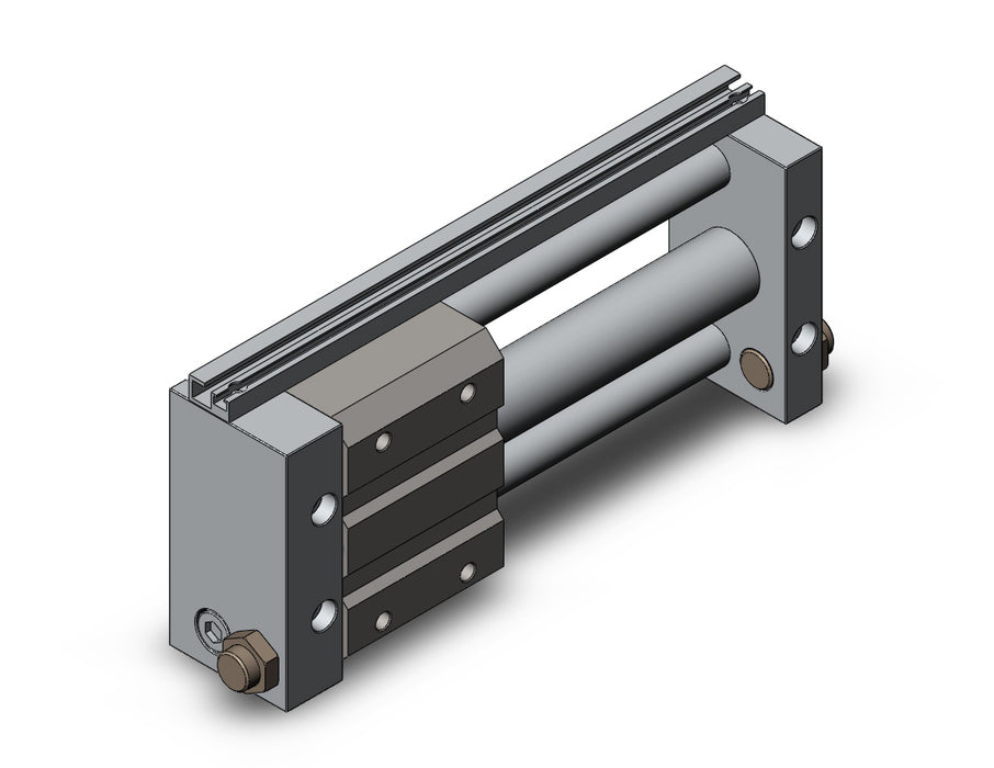 NCDY2S25L-0500 NCY2S, Rodless Cylinder