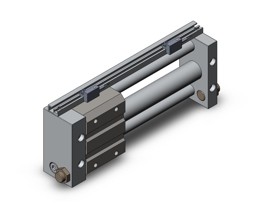 NCDY2S25L-0600-A73H NCY2S, Rodless Cylinder