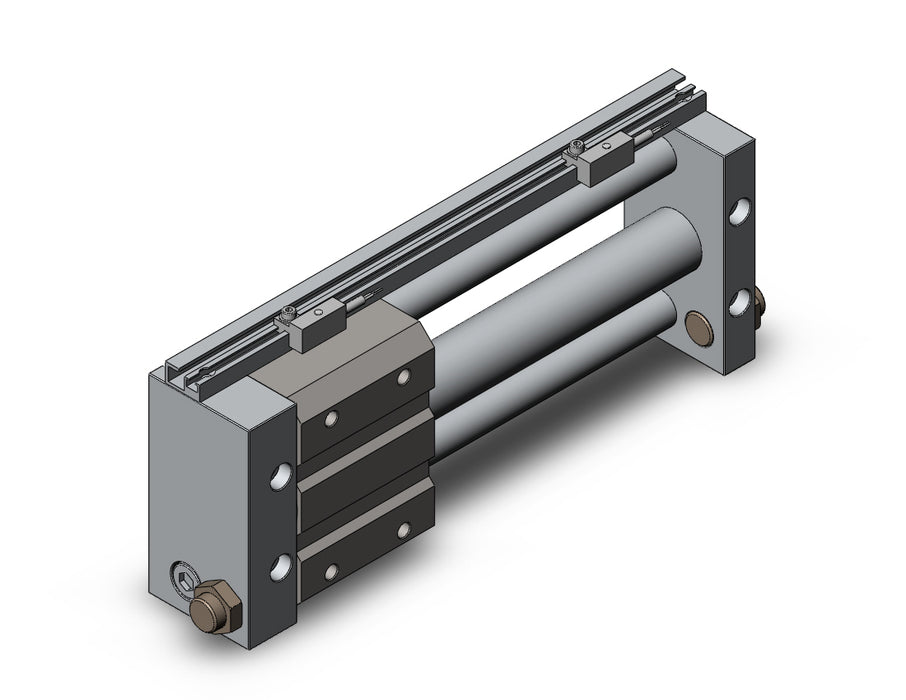 NCDY2S25L-0600-F7PL3 NCY2S, Rodless Cylinder