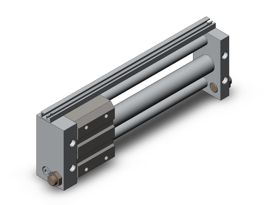 NCDY2S25L-0800 NCY2S, Rodless Cylinder