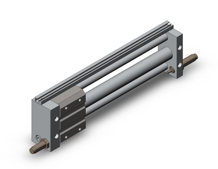 NCDY2S25L-1000B NCY2S, Rodless Cylinder