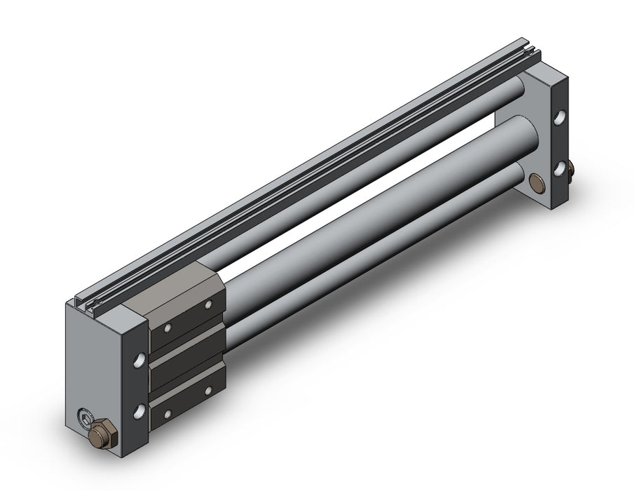 NCDY2S25L-1200 NCY2S, Rodless Cylinder